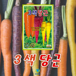 3색당근 씨앗 (500립) 종묘 종자 당근 모듬, 1개