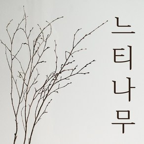 천연 느티나무 나뭇가지 나무 오브제 인테리어소품, M(40~50cm), 3개