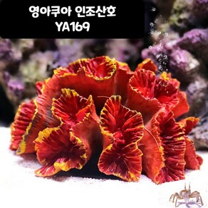 신바람 영아쿠아 인조산호 코랄 YA169, 1개