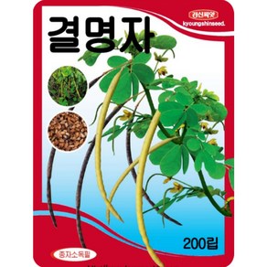 경신종묘 결명자씨앗 결명자 200립, 1개