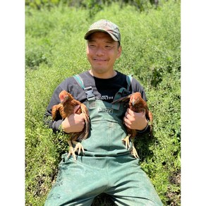 [미래숲토종닭] 강원도 자연방사 토종닭 농장에서 직접판매, 토종닭(1.5kg내외), 1개