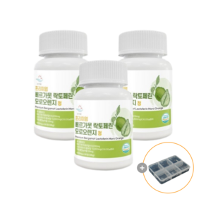 순수한줌 베르가못 락토페린 모로오렌지 600mg + 알약 케이스, 3개, 60정