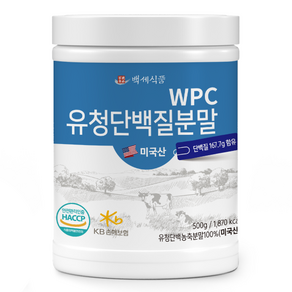 백세식품 WPC 유청단백질 분말 500g통