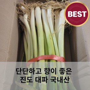 [국산] 국내산 진도대파 손질대파 깐대파 뿌리손질대파 단단하고 향이좋은 파, 1개, 10kg