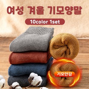 여성 겨울 기모양말 10컬레(10colo 1set)/한파 방한 중목양말