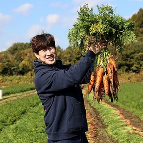 자연에서바로 주스용 못난이 당근 국내산 흙당근 3kg