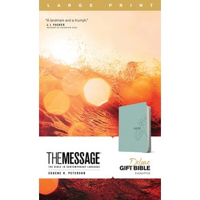 (영문도서) The Message Deluxe Gift Bible Lage Pint (Leathe-Look Teal): The Bible in Contempoay Language Imitation Leathe, NavPess Publishing Goup, English, 9781641582544