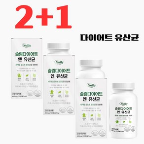 뉴일리 슬림다이어트앤유산균 프로바이오틱스 체지방감소 장건강 유산균 효능 건강기능식품 뱃살 내장지방, 3세트, 120정