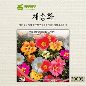 세계종묘 채송화 씨앗 2000립, 꽃양귀비 2000립, 1개