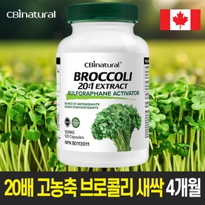 20배 고농축 브로콜리 새싹 500mg 120야채캡슐 설포라판 생성 브로콜리새싹 /캐나다 생산 직발송/캐나다 식약청 GMP NPN인증