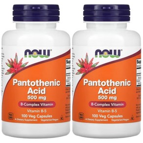 나우푸드 판토텐산 Pantothenic Acid 500mg 100캡슐 2개, 100정