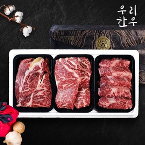 [우리한우] 1등급 한우 구이세트 2호 900g (등심+채끝+갈비살/각 300g), 1개, 300g