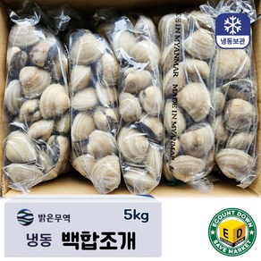 냉동 백합조개 5kg(1kg x 5팩) 탕 구이 파스타 대용량 업소용, 5개, 1kg