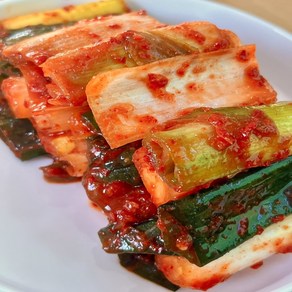 [오픈특가]윤가네 맛있게 매운 실비 대파김치 : 40년 전통 비법, 1개, 1kg