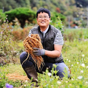 햇 약도라지 강원도 홍천 3년근 이상 재배한 생 도라지 1kg 산지직송, 1박스, 식도라지 상 1kg