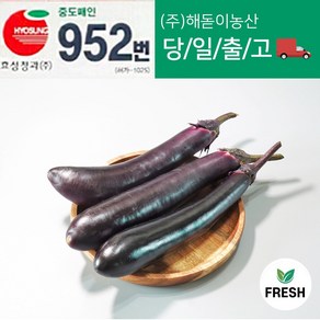 해돋이농산 국내산 가지 못난이가 2kg 5kg 10kg, 1개