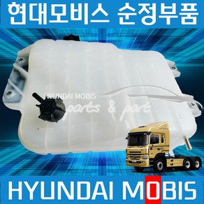 트라고 보조물통 라디에이터보조물통 253607L000, 1개