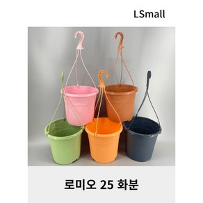 로미오 25 플라스틱컬러화분, 오렌지 고리, 1개