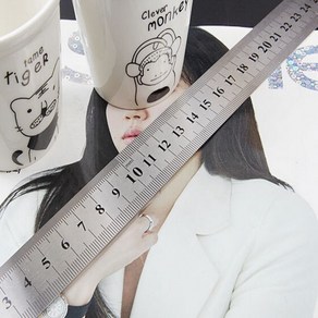 30cm 철자 스틸자 인치자, 1개