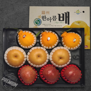 프리미엄 고당도 과일 선물세트 사과 배 한라봉 3.3.3 4.4.4 세트, 혼합과일 각 3개, 1개