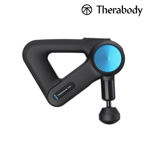 테라바디 테라건 프로 5세대 진동 마사지건 TGPROS-01, 블랙