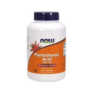 나우푸드 Now Foods Pantothenic Acid 판토텐산 NON GMO 500mg 캡슐 250개입, 250정, 1개