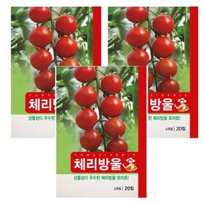 체리방울토마토 씨앗 3개입, 2개