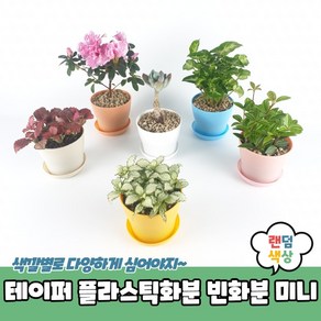 테이퍼 플라스틱화분 빈화분 미니