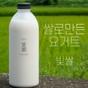 쌀로만든 순식물성 쌀요거트 빛쌀 대용량 플레인, 1개, 1L