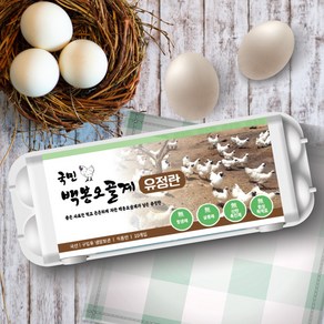 [국민란] 국민 백봉오골계알 한약재 영양물 HACCP 사료 공급 백봉오골계 무항생제 무살충제 무산란촉진제 무합성착색료 유정란 백봉오골 계란 오골계 달걀 국민란