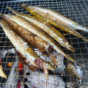 반건조 양미리 제철 강원도 생물 구이, 20개