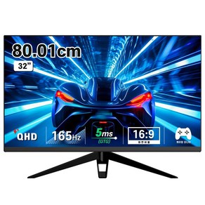 디엑스 80cm QHD 165Hz 고성능 게이밍 컴퓨터 모니터 D132EF-H2, D132EF-H2(32인치)일반