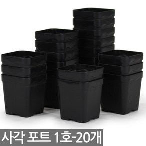 사각 포트 1호 20개 - 다육포트 모종판 연결포트 모종 연결포트 묘목 모판 화분 다육이 트레이 재배 씨앗, 05_세인_사각포트(2호) x 12개, 12개