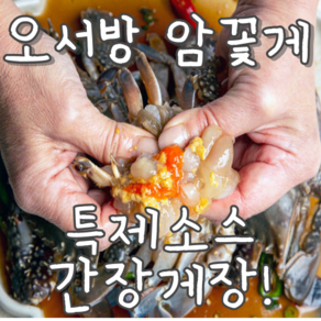 가성비 간장게장 암꽃게 찐특제소스 생산자 직송 2kg 4kg 6kg, 1개