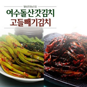 [KT알파쇼핑][웰빙촌] HACCP 인증 여수돌산갓김치2kg+고들빼기1kg+알타리김치1kg 혼합세트