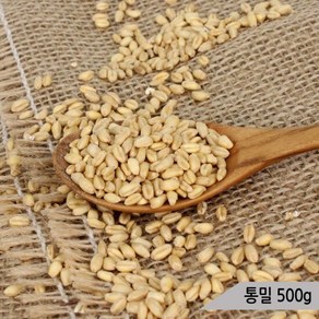 건강알곡 통밀 500g 앵무새 햄스터 소동물 간식 사료, 1개