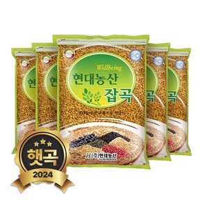 현대농산 국산 황금 발아찰보리 4kg (800gx5봉), 5개