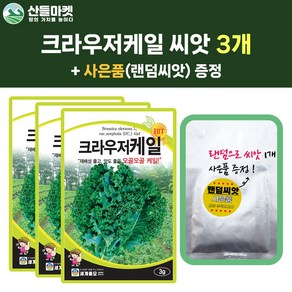 산들마켓 크라우저 케일 씨앗 3g 오골오골 케일씨 3개+랜덤 씨앗 1개 증정