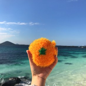핸드메이드 제주감귤 아크릴 수세미 [답례품 집들이선물 인테리어], 1개, 1개입