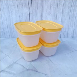 타파웨어 Tupperware 냉장 냉동밥 소분밥 전자렌지 용기 170ml 4P 8P 세트