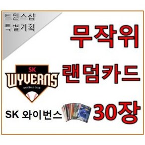 SK 와이번스 야구 포토카드 랜덤카드 30장 트윈스샵 야구카드 야구팬 선물 수집