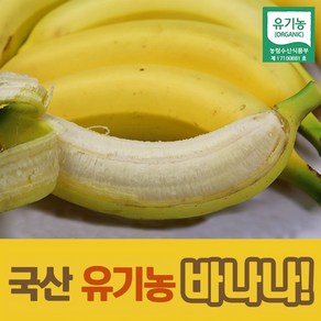 국내산 산청 유기농 바나나, 1.5kg, 1세트