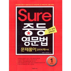 Sue 중등 영문법 Level 1, English one