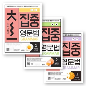 초집중 영문법 초등 고학년 1-3 세트 (전3권) 키출판사, 초집중 영문법 1-3세트