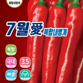 [모종심는아빠] 다나씨드 7월애 칠월애 고추씨앗 고추종자 1200립 조생종, 1개