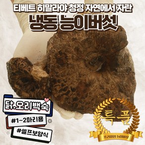 자연산 능이버섯 냉동(특품) 200g 프리미엄 냉동능이버섯 능이백숙 며느리약초, 1개