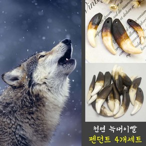 늑대이빨 펜던트 히피 스타일 목걸이 이빨 4개 세트 팔찌 악세서리