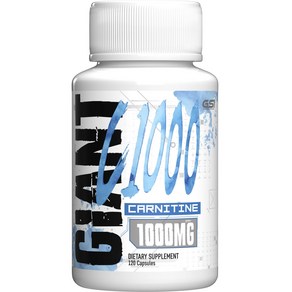 자이언트스포츠 G1000 카르니틴 1000mg 캡슐, 1개, 120정