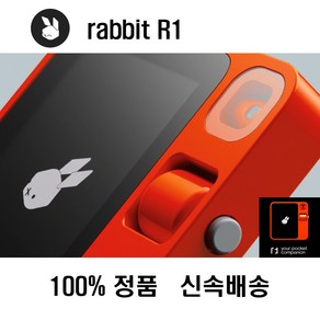 래빗 휴대용 AI 비서 독립기기 Rabbit R1 관세포함