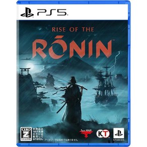 PS5 Rise of the Ronin 라이즈 오브 더 로닌 D버전, 3) 제로D 버전